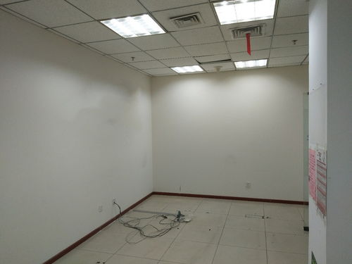 上地西二旗中关村软件园539平科技园区办公空间精装修出租